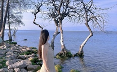 朝俞塞跳d开最大挡不能掉车